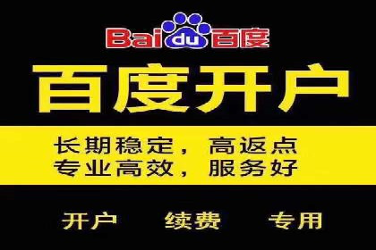 竞价推广公司案例：实战技巧与策略